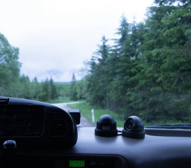View from a car during a road trip through a tree-lined road